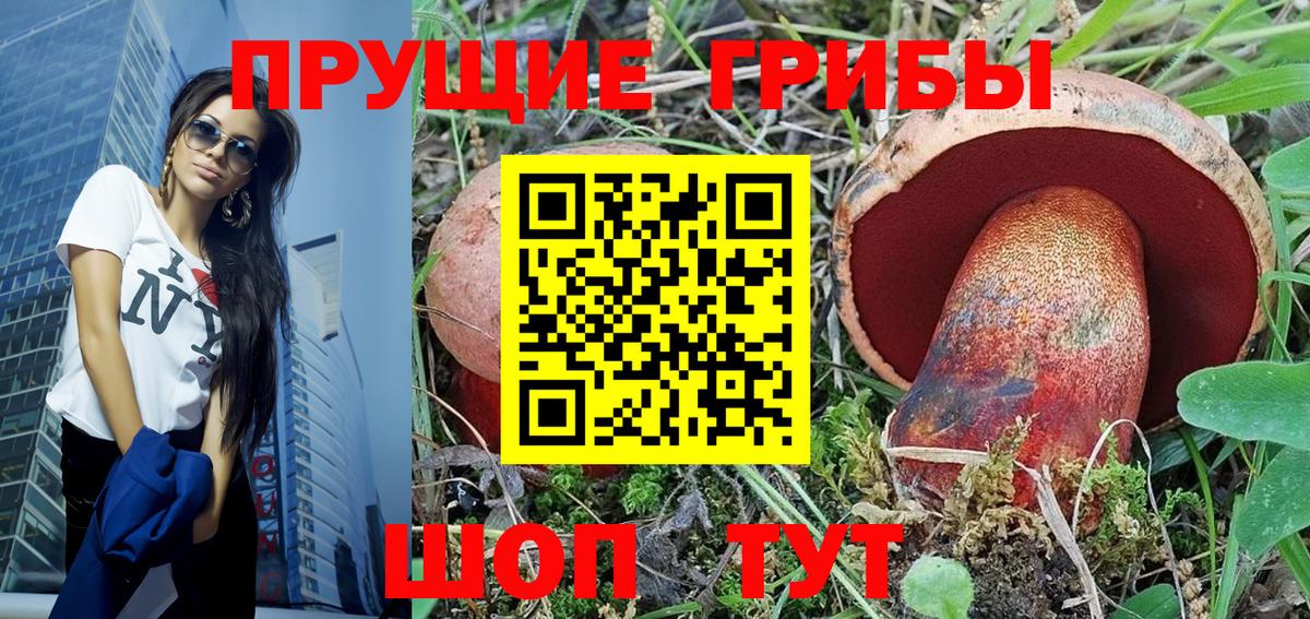 Кимовск  Галлюциногенные грибы MAGIC MUSHROOMS  Вход с VPN 